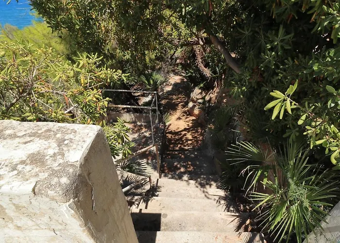 Barbera - Terrace Overlooking The Sea *